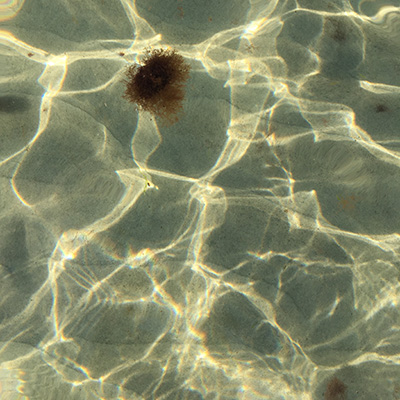 Sarah Halbach – Klangmassage